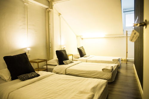 清迈two gals and the pig精品旅馆 two gals and the pig boutique hostel agoda