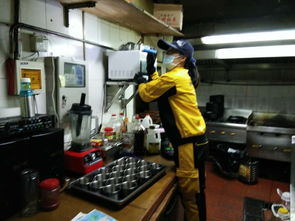 深圳中型餐馆 都市美食的缩影