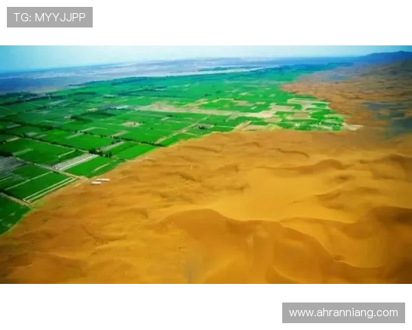 沙丘:5大势力角逐,谁才是最后的赢家?