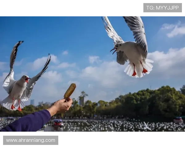 上林恋歌:一场穿越千年的风花雪月 上林恋歌:一场穿越千年的风花雪月