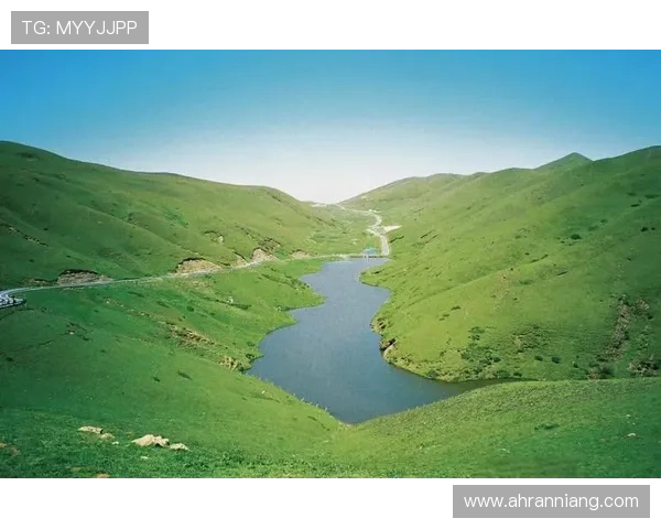 夏日限定的绝美秘境：与“夏烧雅种子”共赴一场极致浪漫