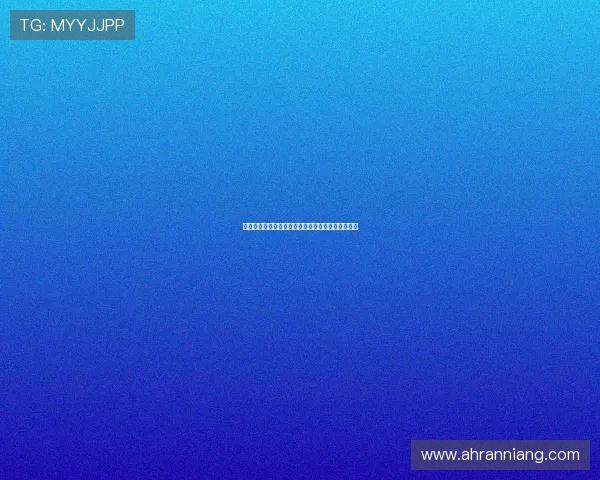 石坂千寻:镜头里的温柔凝视,定格时光的诗意栖居 石坂千寻:镜头里的温柔凝视,定格时光的诗意栖居